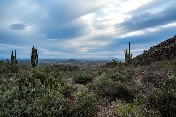 Una Vista Panorámica Del Cañón Del Oro Arizona —  Fotos de Stock