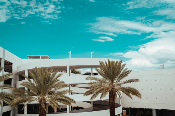 Bäume Strand Parkplatz Miami Usa Florida Palmen — Stockfoto