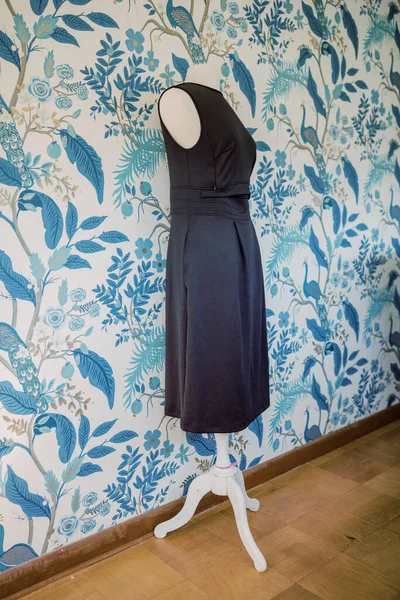 Anneleri Mavi Duvar Kağıdıyla Basmak Için Profesyonel Siyah Elbise — Stok fotoğraf