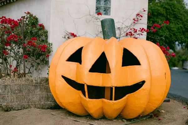 Jack Lantern Pumpkin Patch — Stock Photo, Image