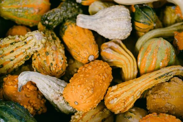 Orange, yellow and white gourds