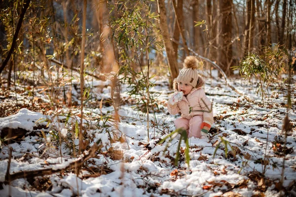 Young Female Child Winter Eating Snow Outdoors Forest — Stock Photo, Image