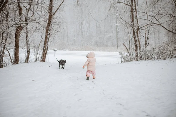 Young Female Child Black Pet Dog Walking Winter Wonderlan — Stock Photo, Image