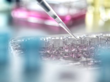 Bilim adamı numuneleri laboratuardaki çok katmanlı bir kuyuya yerleştiriyor.