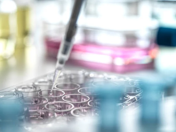 Cientista Pipetando Amostras Uma Placa Vários Poços Laboratório — Fotografia de Stock