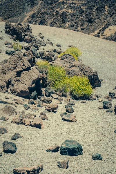 Incredibile Paesaggio Lunare Vista Sul Teide Dalla Mina San Jos — Foto Stock