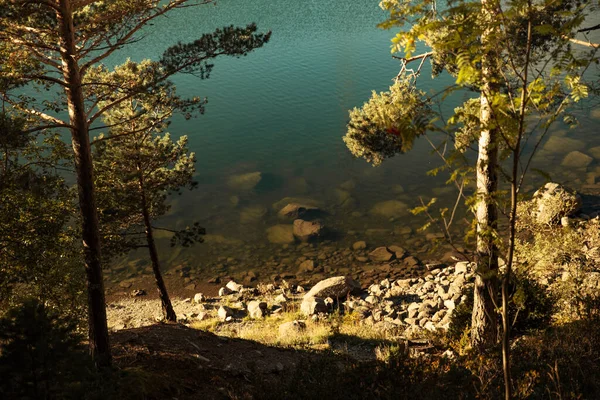 Costa Lago Com Água Transparente Lado Algumas Árvores — Fotografia de Stock