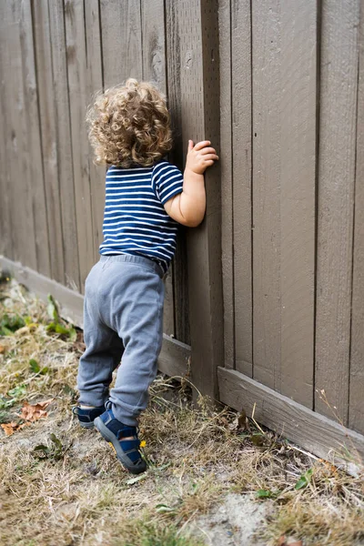 小さな男の子の後ろのビューは 隣人のフェンスを通して見ている — ストック写真