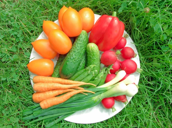 Čerstvé zralé zeleniny na talíři — Stock fotografie