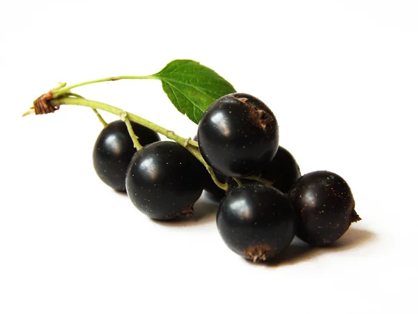 Berries on the white background — Stock Photo, Image