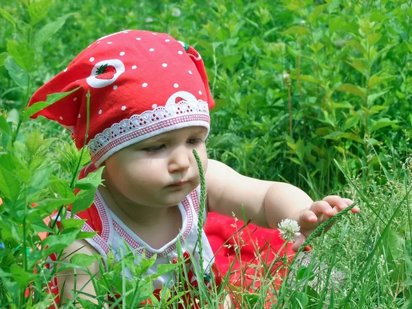 Un niño pequeño explora el mundo —  Fotos de Stock