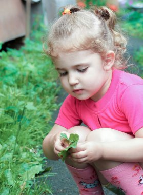 çimen çocuk ilgiyle inceliyor