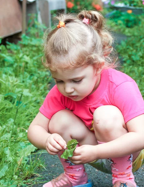 Kind untersucht interessiert Gras — Stockfoto