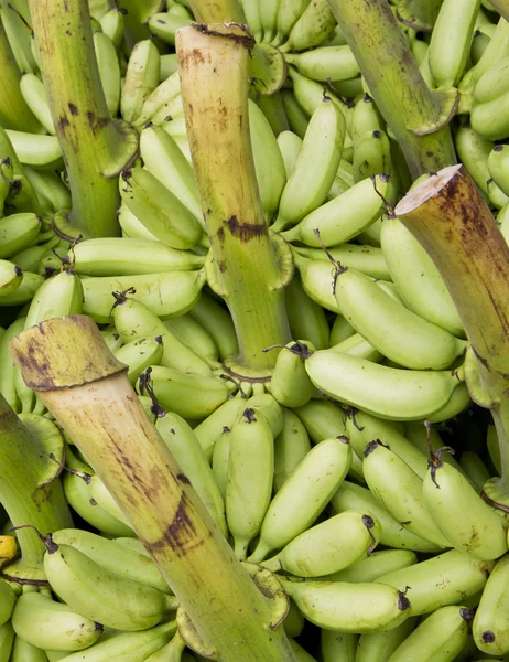 未加工バナナ — ストック写真