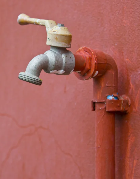 Grifo en la pared roja . — Foto de Stock