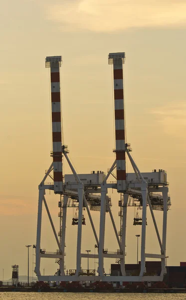 Container Cargo freight ship with working crane bridge in shipya — Stock Photo, Image