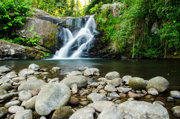 Poo Soi Dao National Park — Stock Photo, Image