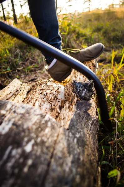 Sawing the giant log — Stock Photo, Image