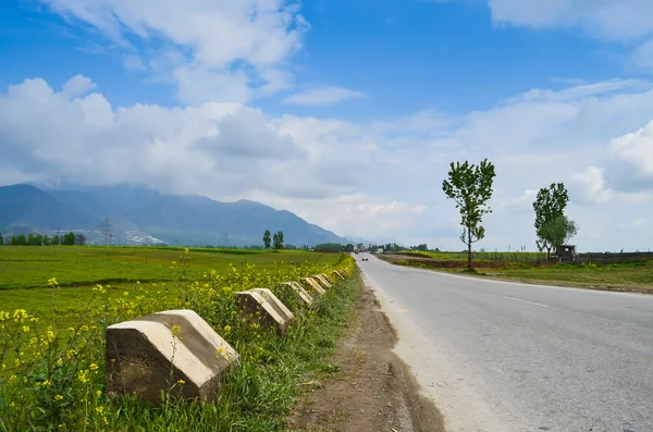 Güzel kırsal yol görünümünde — Stok fotoğraf