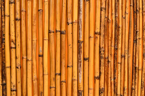 대나무 질감 — 스톡 사진