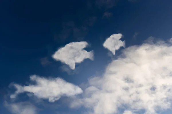 Close Clouds Shaped Fish — Stock Photo, Image