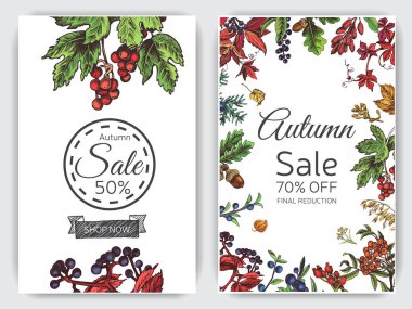 Şükran günü kartpostal. Sonbahar meyveleri ile kroki.