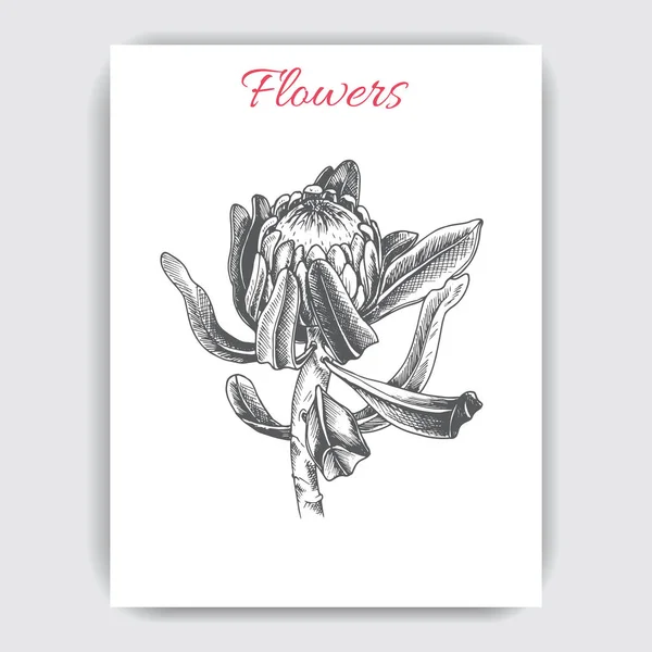 Carte Postale Colorée Dessinée Main Avec Fleur Pomme — Image vectorielle