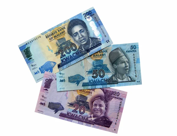 Nieuw geld van malawi — Stockfoto
