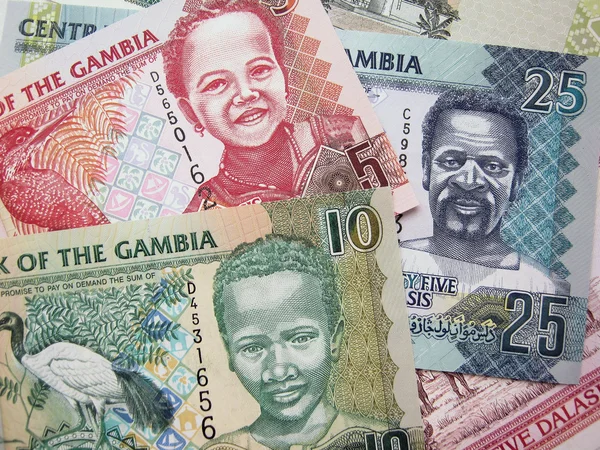 Dinero de Gambia — Foto de Stock