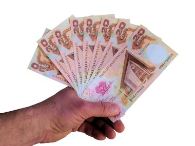 papua Yeni Gine banknotlar ile el.
