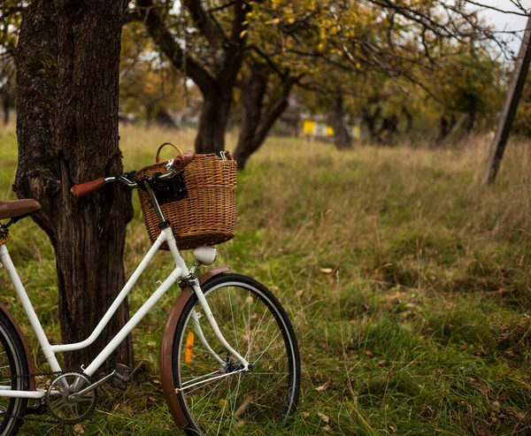 Vintage Fiets Met Rieten Mandje Herfstappeltuin — Stockfoto