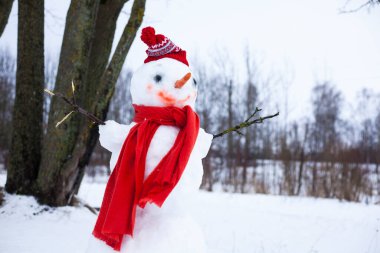 Kırmızı şapkalı komik bir kardan adam ve açık havada kırmızı bir eşarp.