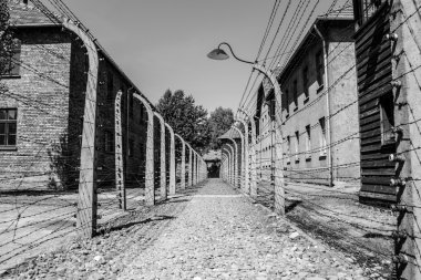 Auschwitz
