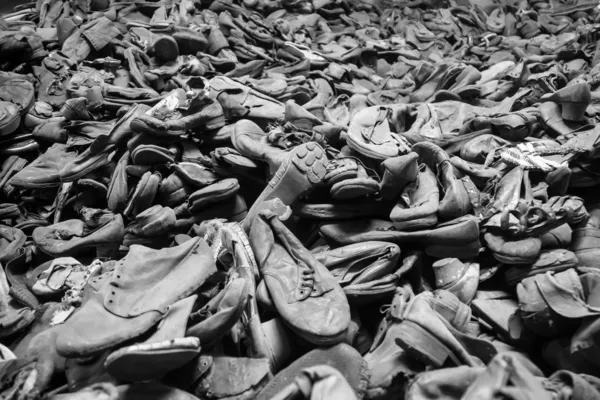 Фото из Освенцима Лицензионные Стоковые Изображения