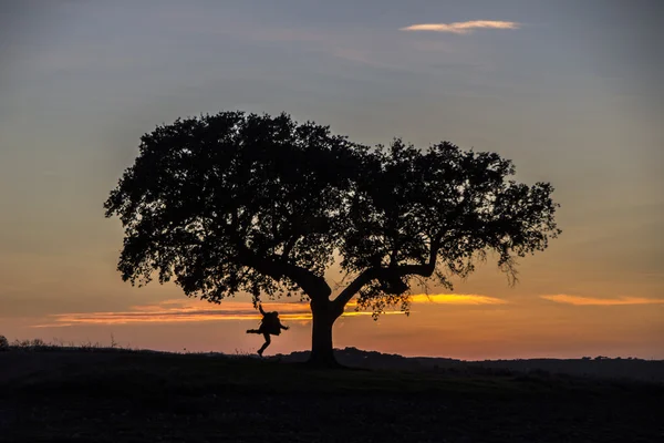 Silhueta de homem e árvore ao pôr-do-sol Fotografia De Stock