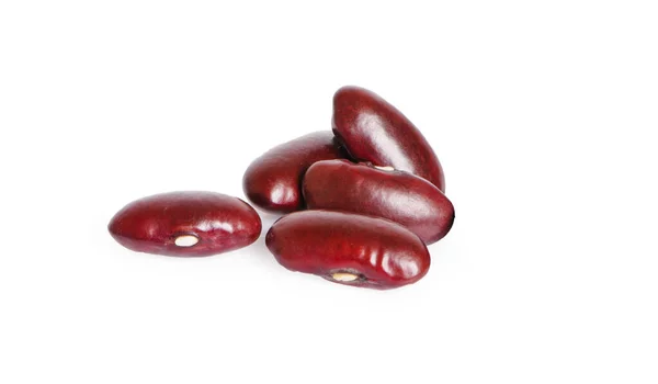 Kacang Merah Diisolasi Pada Latar Belakang Putih Stok Foto
