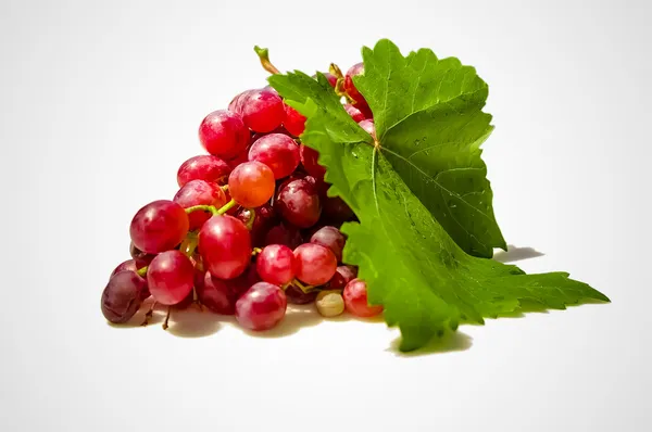 Home grown grapes — Stock Photo, Image