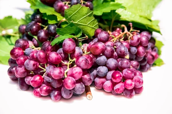 首页种植的葡萄 — 图库照片