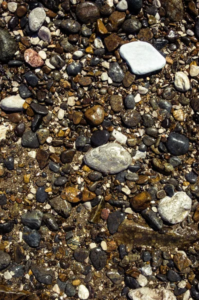 Galets à la plage — Photo