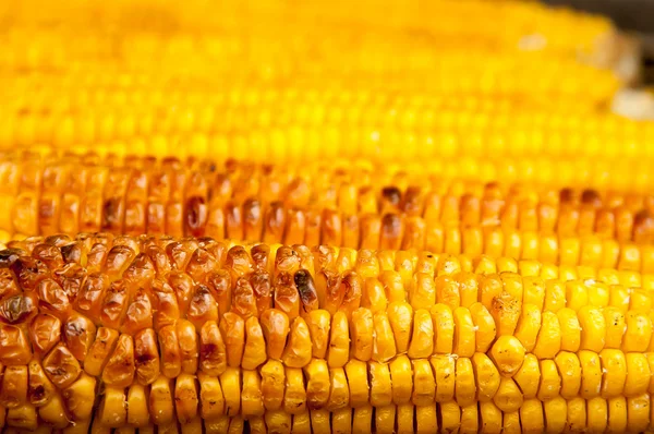 Mais auf dem Grill Stockbild