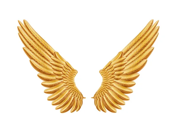Złote skrzydło — Wektor stockowy