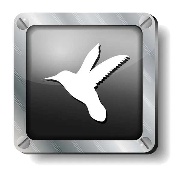 Icono de acero colibrí — Archivo Imágenes Vectoriales