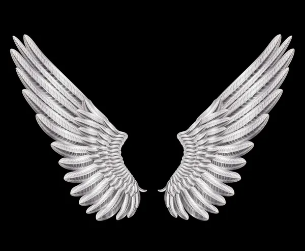 Stříbrná křídla — Stockový vektor
