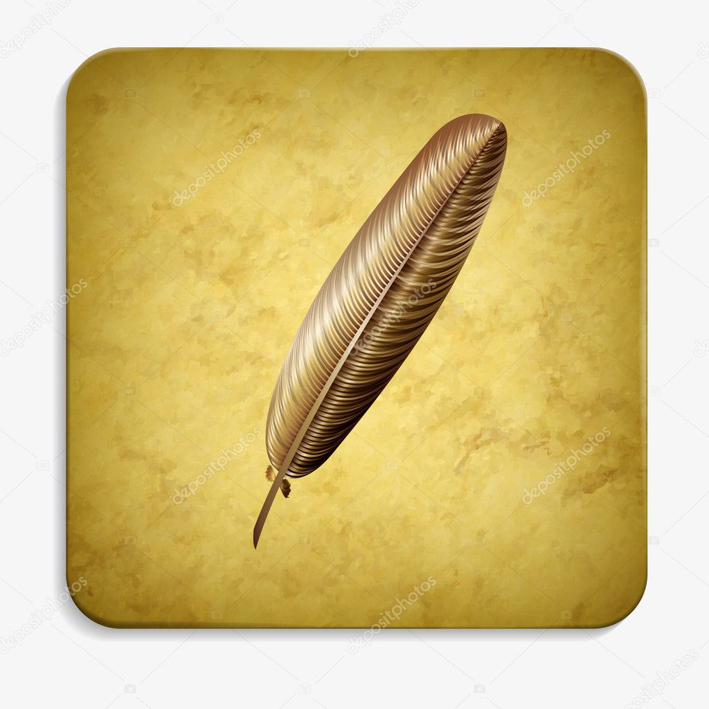 Parchment feather icon