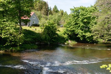 Nehir kenarında küçük bir ev ve çevresi yeşil ağaçlarla çevrili bir manzara. Yüksek kalite fotoğraf