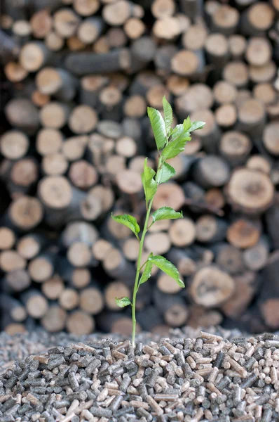 Sparen Sie die Natur-alternative Energie — Stockfoto