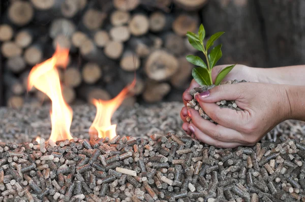 Alternatieve energie — Stockfoto