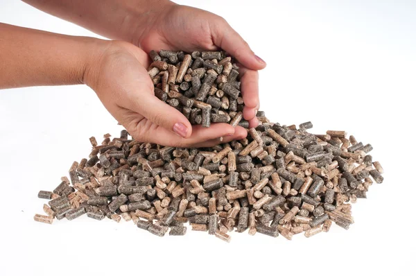 Pellets-biomassa — Stockfoto