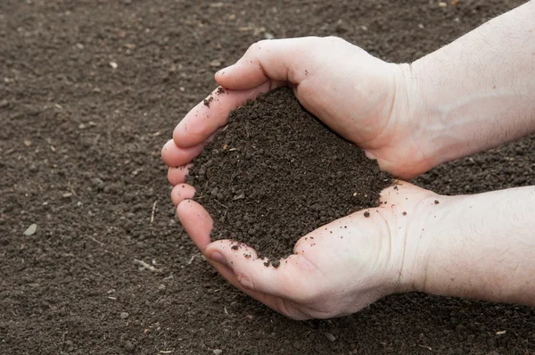 Soil in hands — Stock Photo, Image