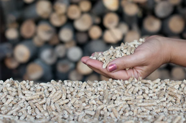 Pellets- Biomasse — Stockfoto